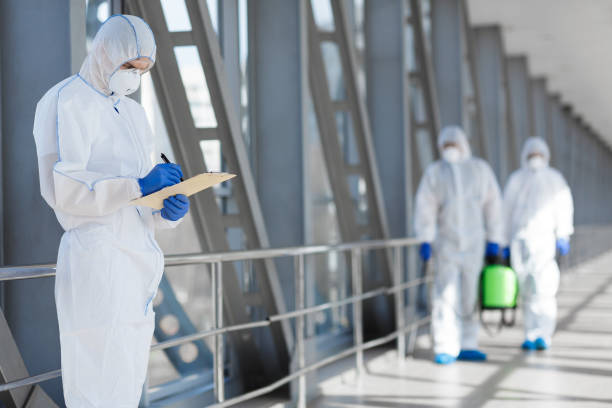 Best Water Damage & Mold Remediation  in Lake Success, NY