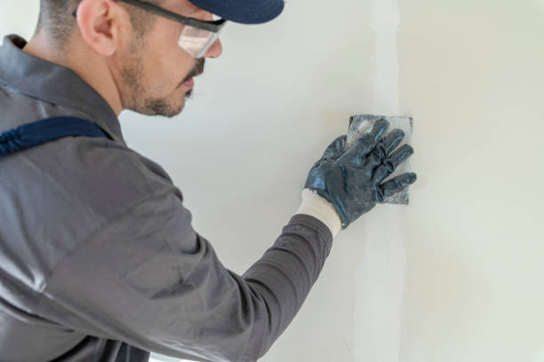 Best Mold Prevention Services  in Lake Success, NY