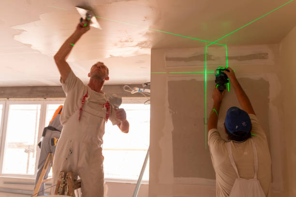 Mold Remediation for Rental Properties in Lake Success, NY